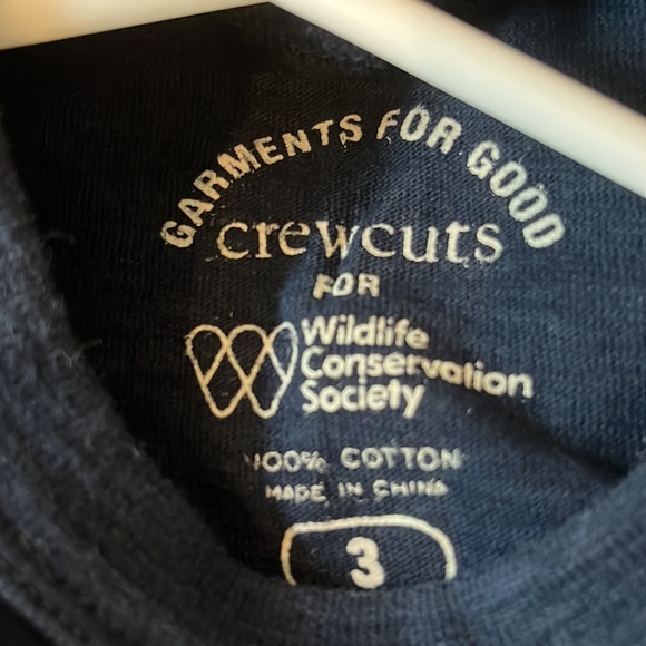 Boys Size 3T Crewcuts Short Sleeve Shirt - Picture 3 of 3